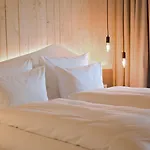 Euler 4*