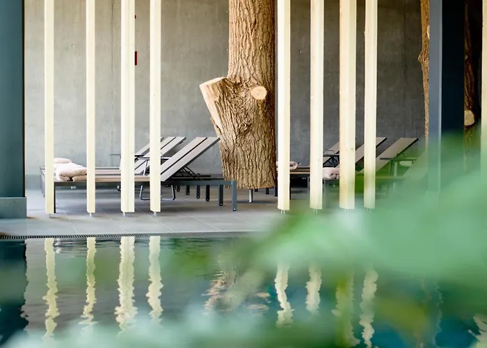 Euler - Naturhotel & Hotel *