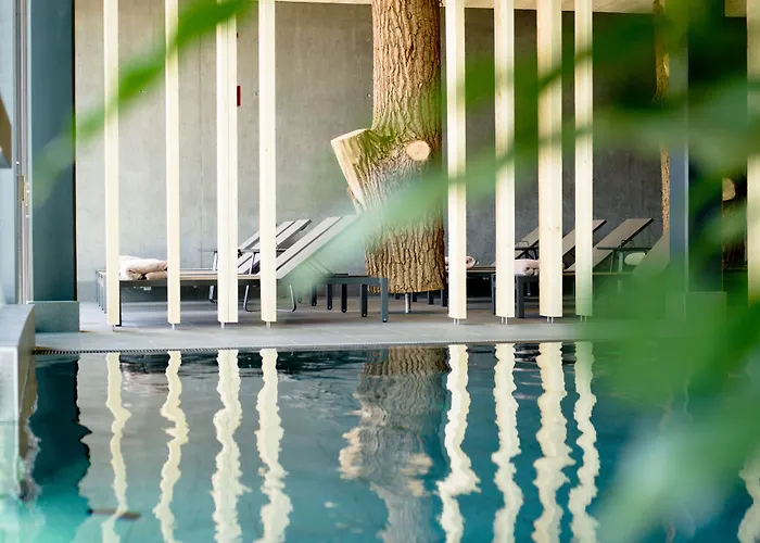 Euler - Naturhotel & Hotel *
