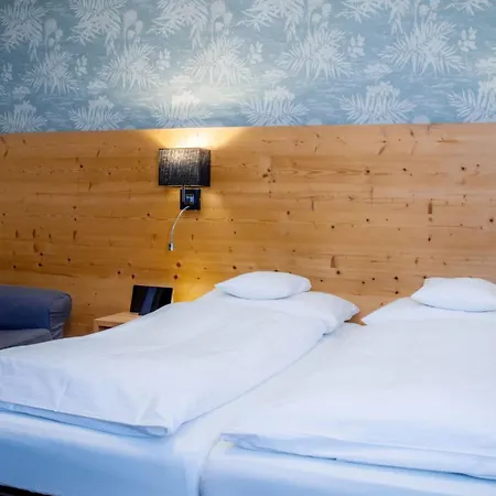 Hotel Euler - Naturhotel, Chalets&euler Stammhaus Neuschönau
